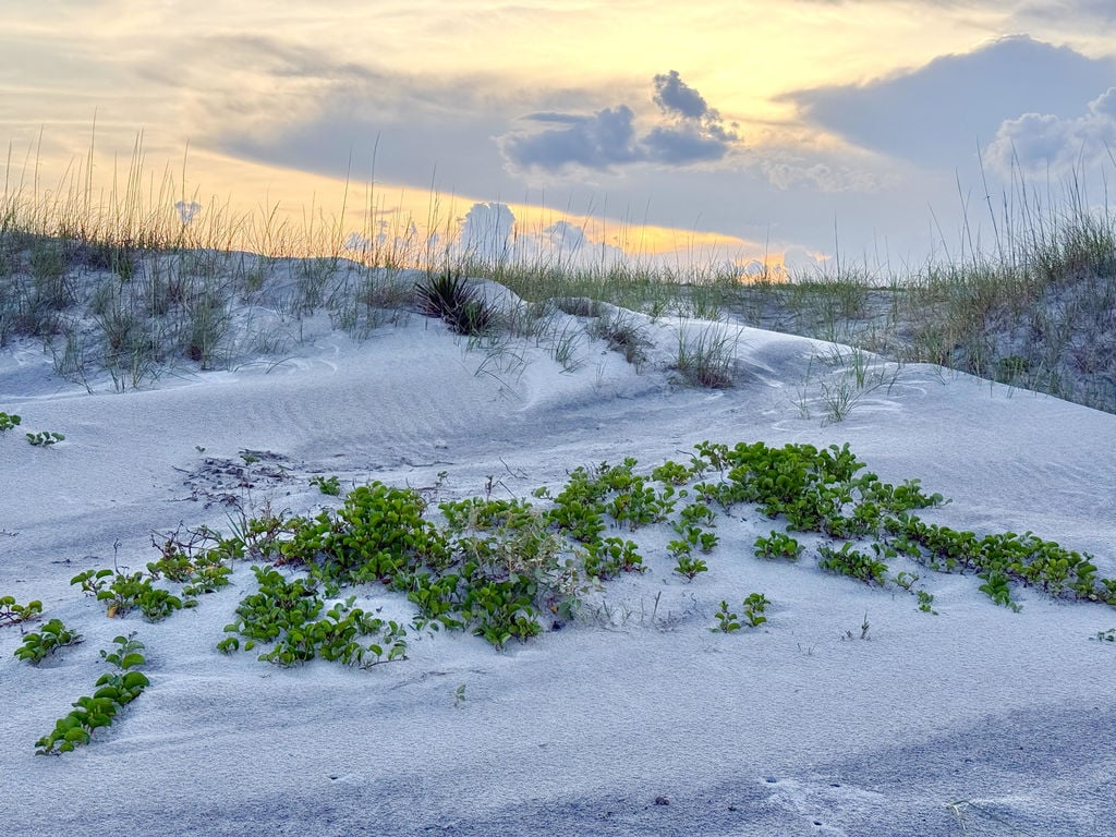 Atlantic Salt Realty Cumberland Island beach