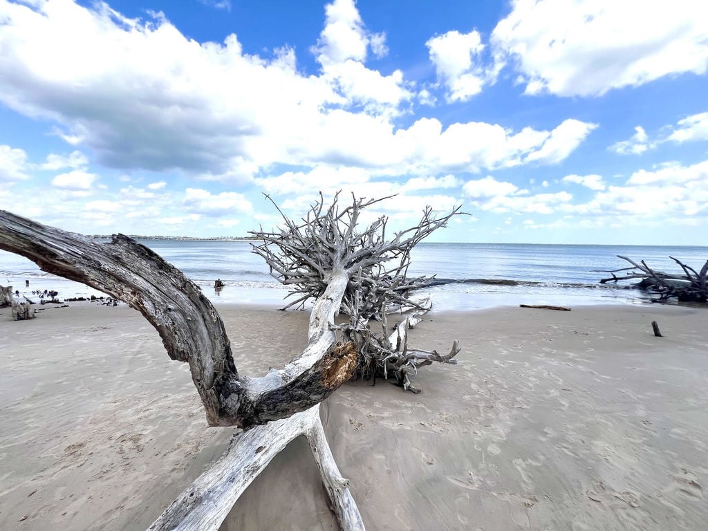 Atlantic Salt Realty Beach