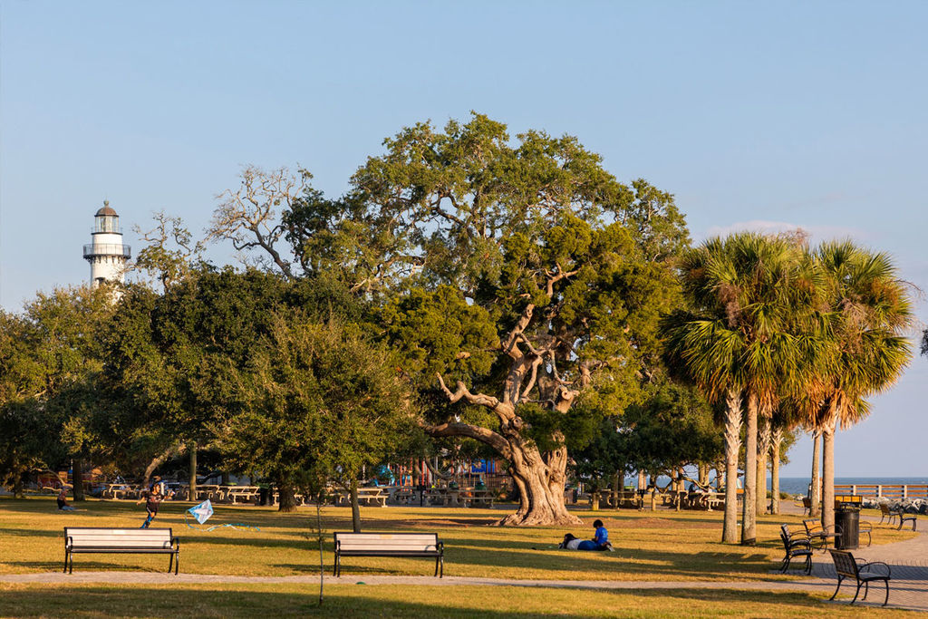 Atlantic Salt Realty St Simons Island GA Parks