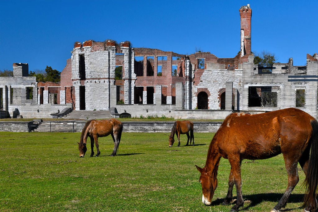 Atlantic Salt Realty Cumberland Island