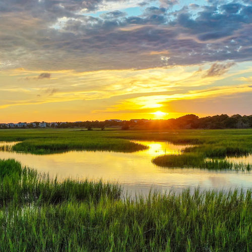 The Best Way to Beat the Heat? Live Near the Water