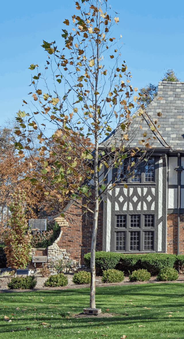 English-Tudor-List-Your-Home-With-Travis-Erickson-1