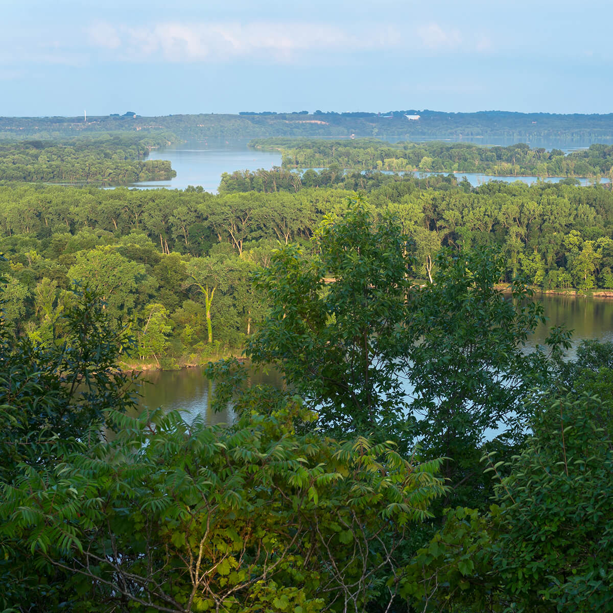 Inver-Grove-Heights-MN-Homes-For-Sale