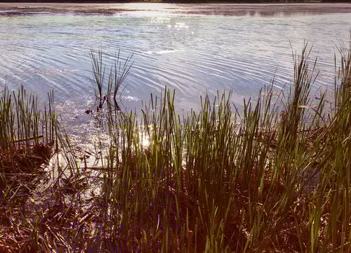 Lake-Elmo-MN-Homes-For-Sale