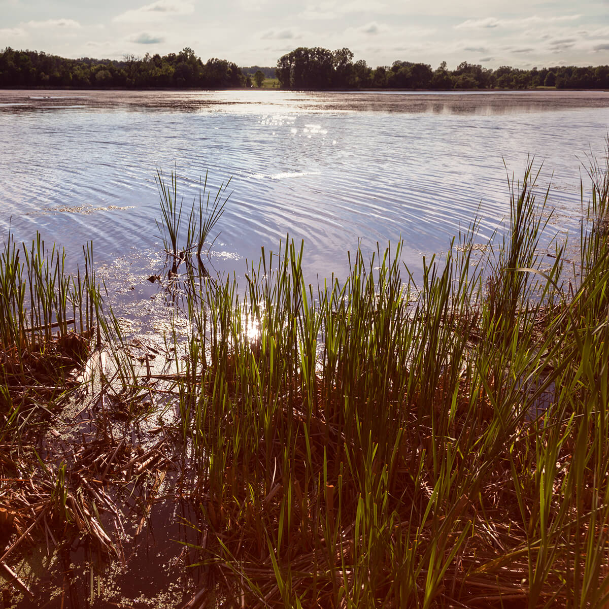 Lake-Elmo-MN-Homes-For-Sale