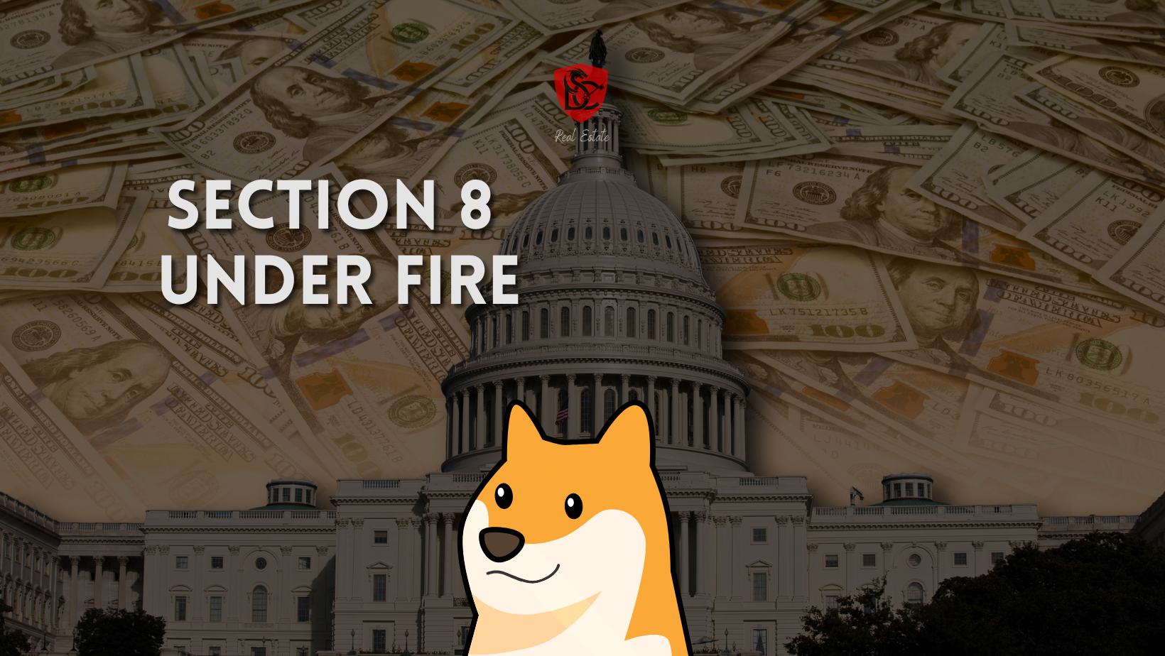 DOGE vs. Section 8