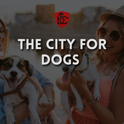 The Dog-Friendliest City