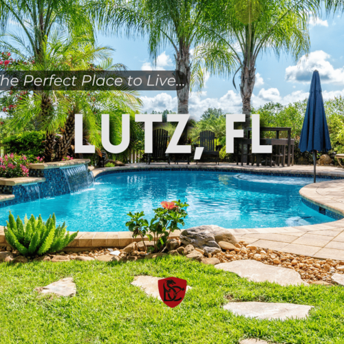 Why Lutz, Florida Is the Perfect Place to Live