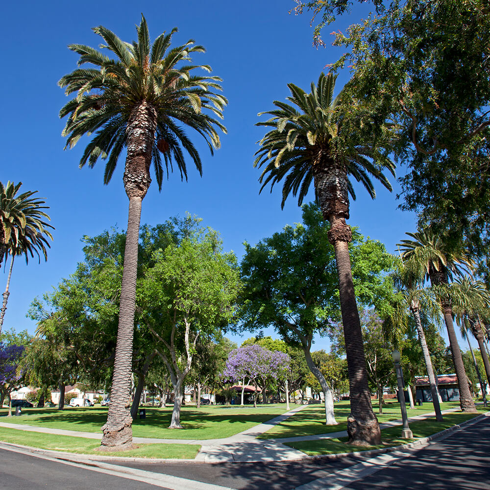 Carlson-Park-Culver-City