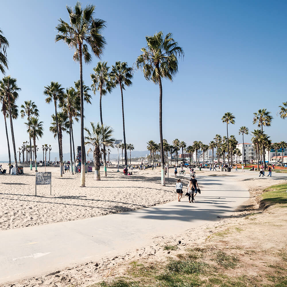 Venice-Beach,-Los-Angeles