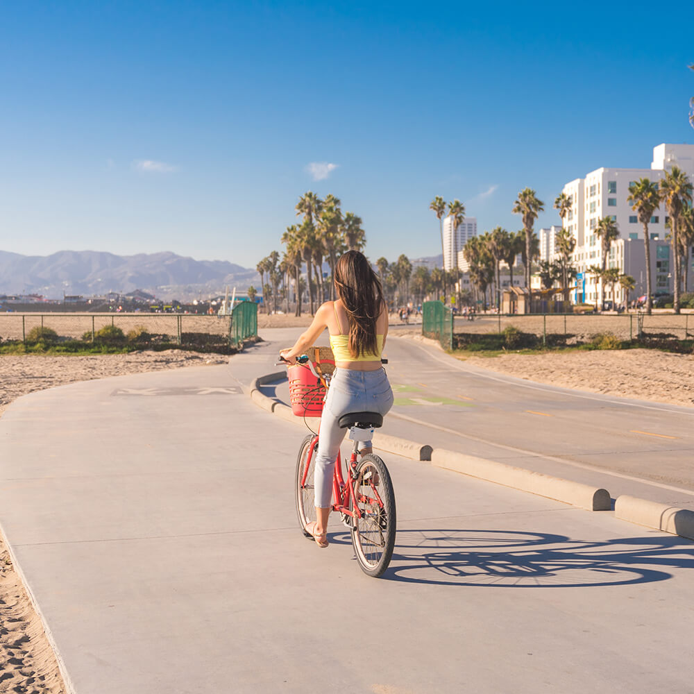 beach-with-palm-trees-Santa-Monica
