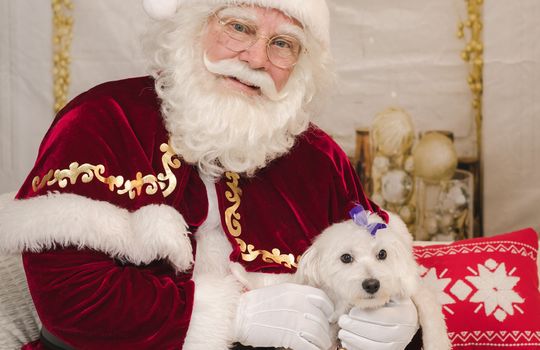 Kaminsky REG (11-21-25) Christmas Party