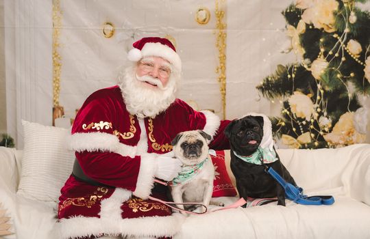 Kaminsky REG (11-21-25) Christmas Party