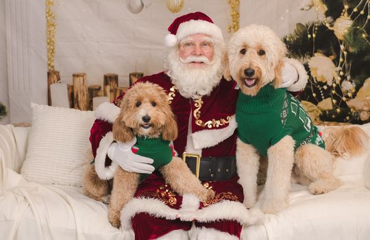 Kaminsky REG (11-21-25) Christmas Party