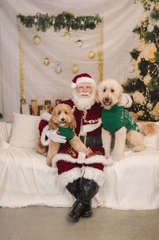 Kaminsky REG (11-21-25) Christmas Party