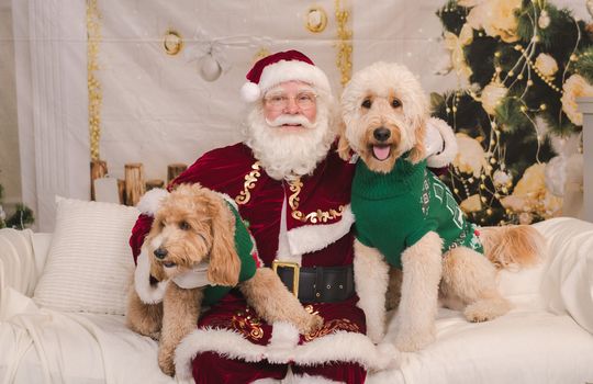 Kaminsky REG (11-21-25) Christmas Party