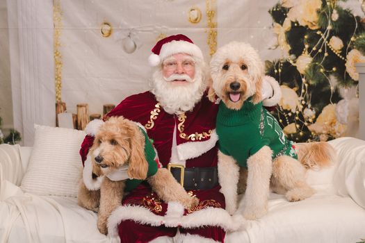 Kaminsky REG (11-21-25) Christmas Party