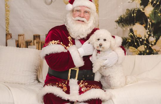 Kaminsky REG (11-21-25) Christmas Party