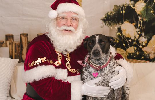 Kaminsky REG (11-21-25) Christmas Party