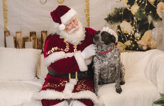 Kaminsky REG (11-21-25) Christmas Party