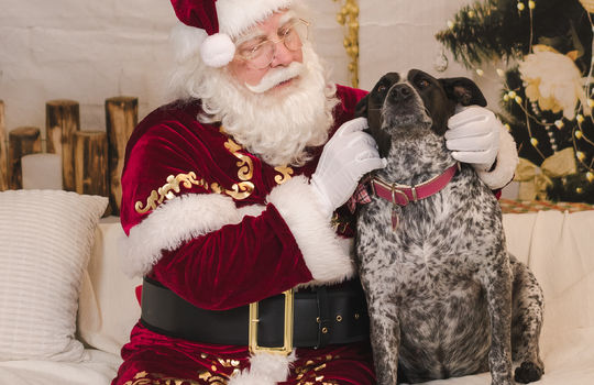 Kaminsky REG (11-21-25) Christmas Party