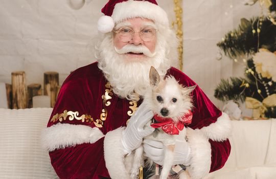 Kaminsky REG (11-21-25) Christmas Party