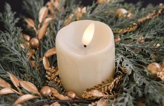 Kaminsky REG (11-21-25) Christmas Party