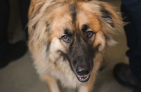 Kaminsky REG (11-21-25) Christmas Party