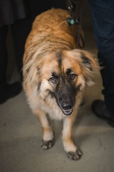 Kaminsky REG (11-21-25) Christmas Party