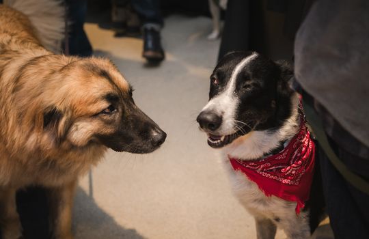 Kaminsky REG (11-21-25) Christmas Party