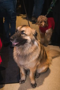 Kaminsky REG (11-21-25) Christmas Party