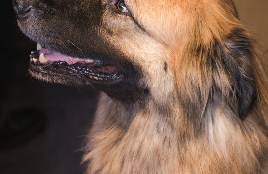 Kaminsky REG (11-21-25) Christmas Party