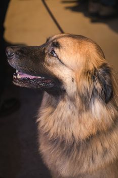 Kaminsky REG (11-21-25) Christmas Party