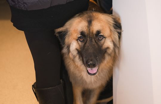 Kaminsky REG (11-21-25) Christmas Party