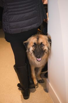 Kaminsky REG (11-21-25) Christmas Party