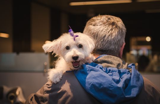 Kaminsky REG (11-21-25) Christmas Party