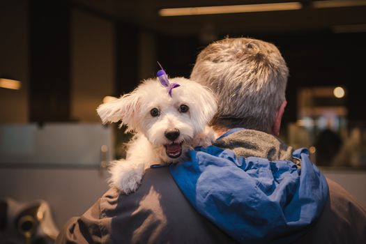 Kaminsky REG (11-21-25) Christmas Party