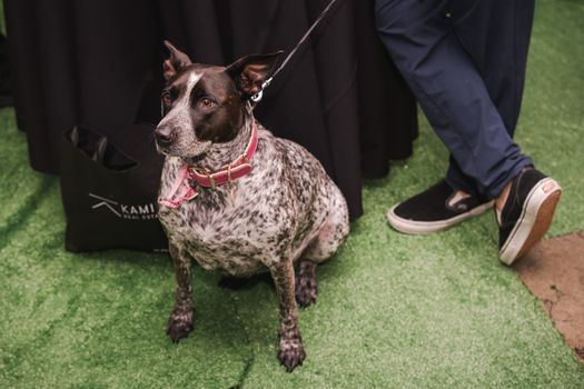 Kaminsky REG (11-21-25) Christmas Party