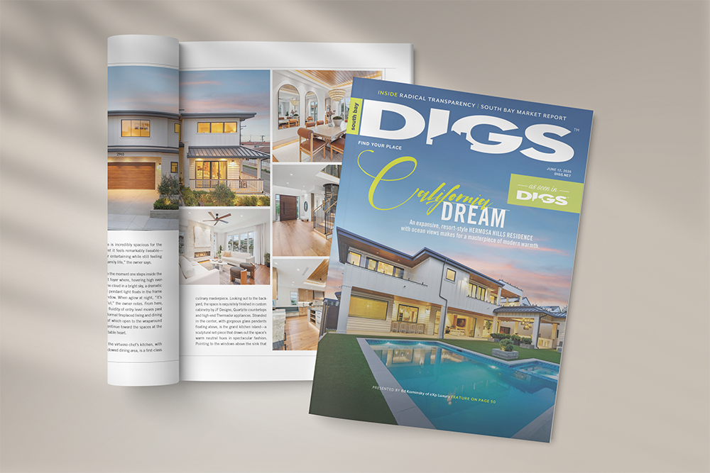 digs cover 2
