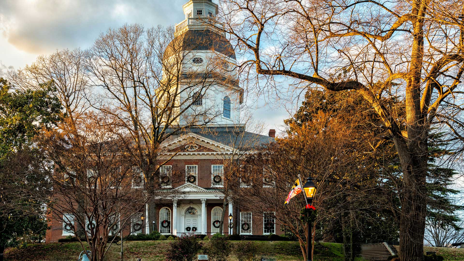 damon-the-agent-area-image-16