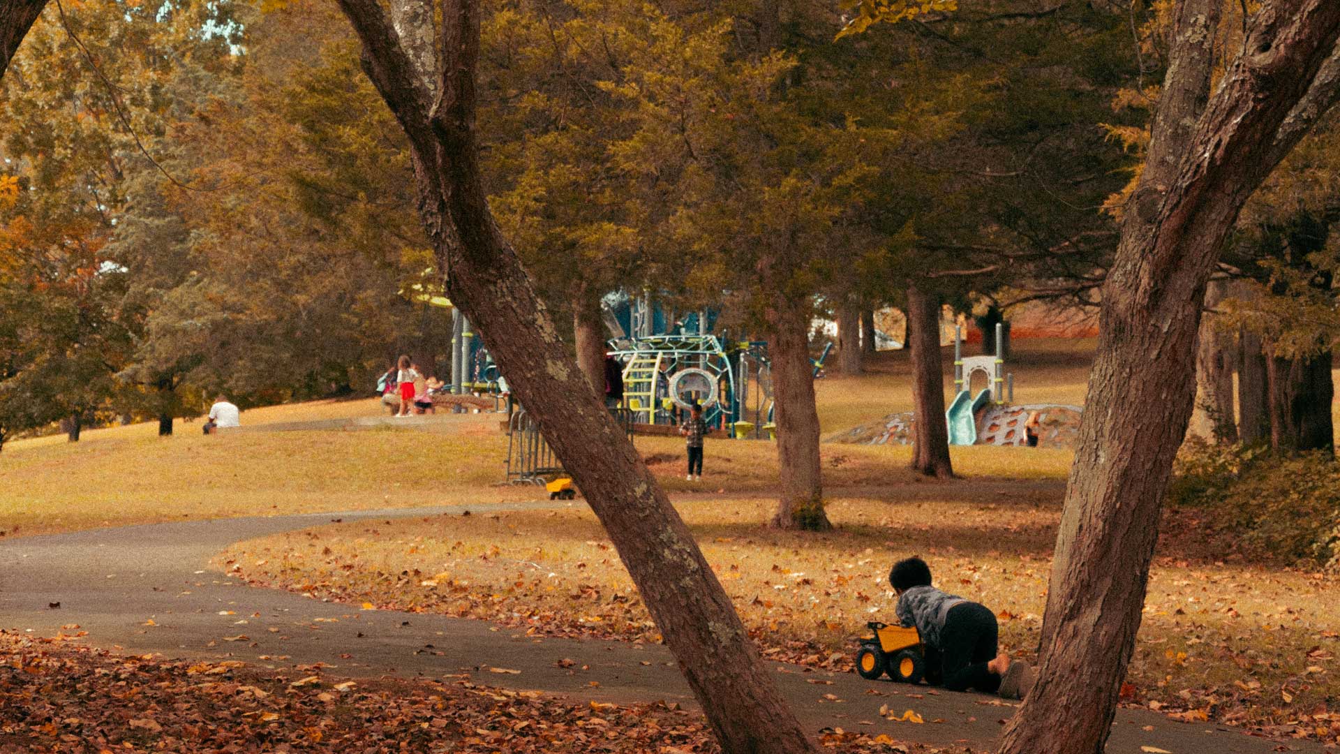 damon-the-agent-area-image-18