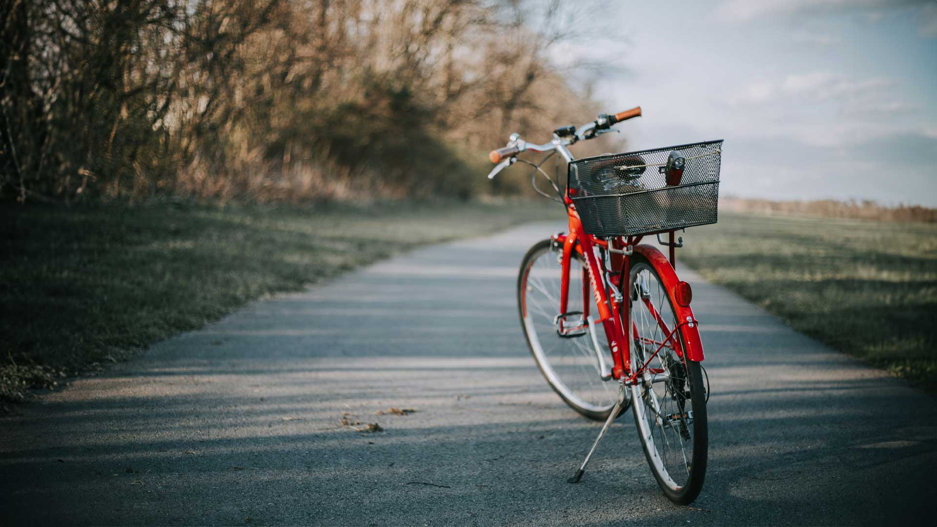 damon-the-agent-area-image-24