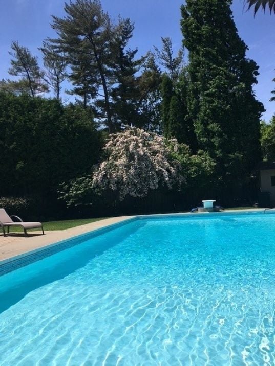 Perfect Day