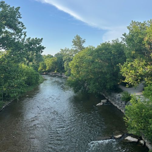 What Long Time Homeowners Forget About Living Well in South Mississauga