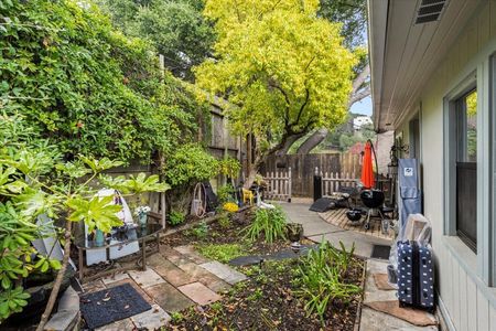 Garden-Before-Rafael