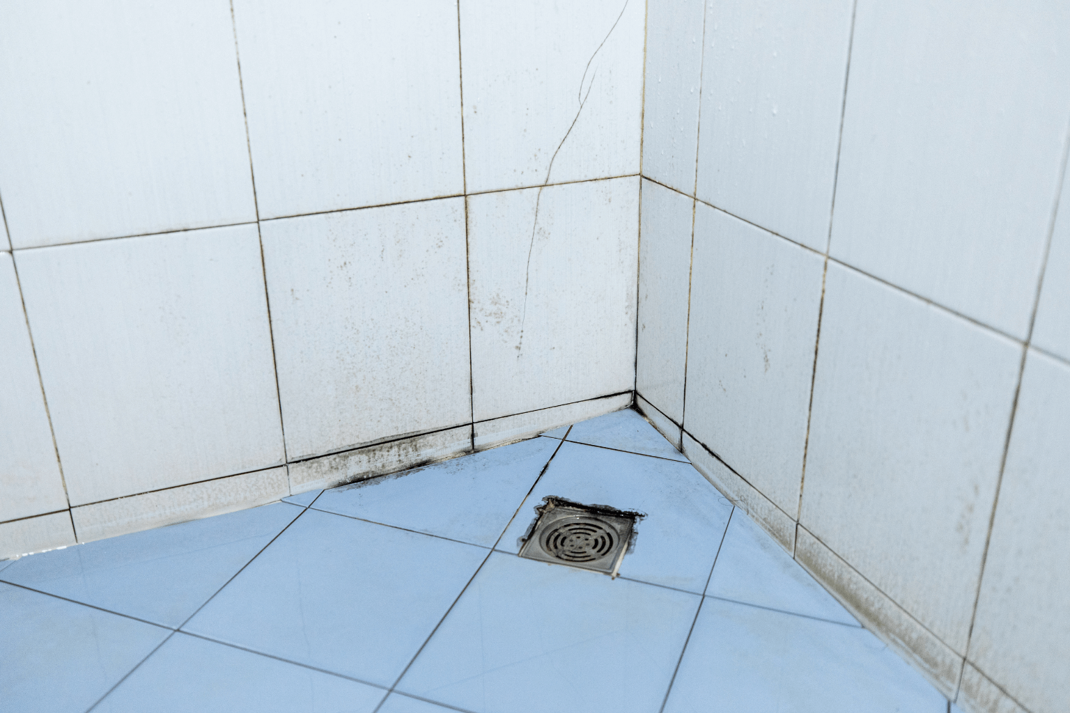 Black mold on a bathroom wall