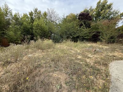 1799_sierra_2338-min