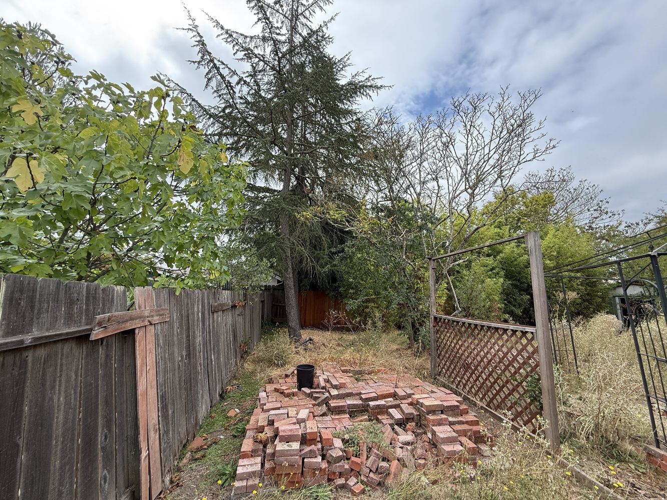 1799_sierra_2345-min