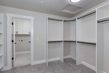 vine-lot11-mastercloset