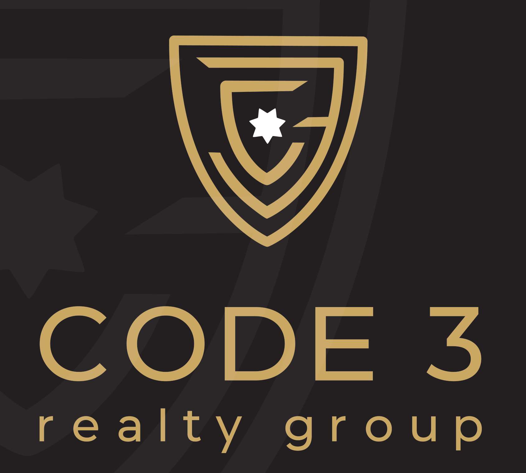 Code 3 Logo Vertical
